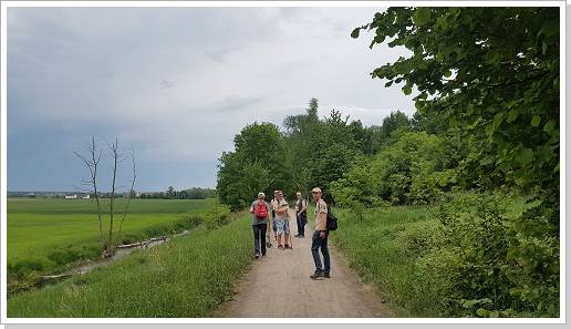 0084_20180510_172915 (Kopie).jpg